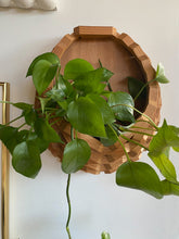 Load image into Gallery viewer, Wooden Wallhanging Planter
