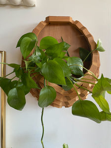 Wooden Wallhanging Planter