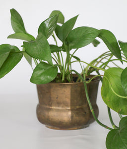 Vintage Brass Planter